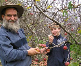 Pine Crest Orchard - New Castle Holiday 0