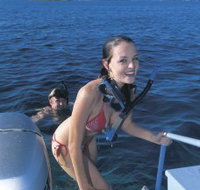 Seal Cove - New Castle Holiday