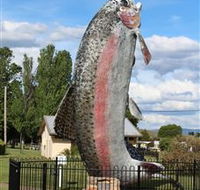 Big Trout - New Castle Holiday