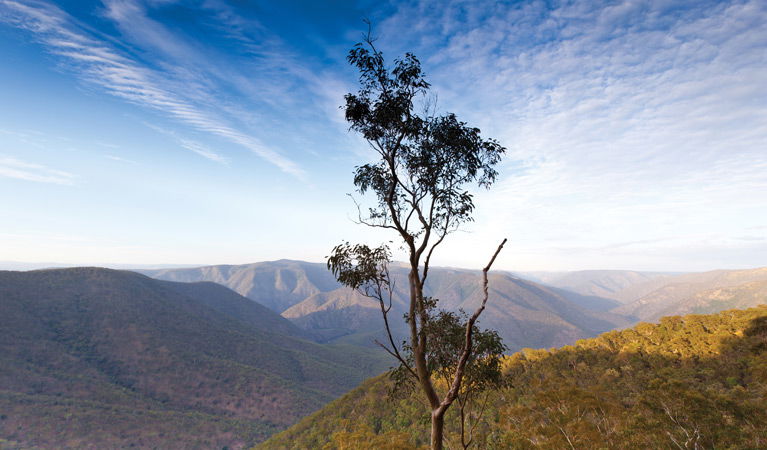 Mihi NSW New Castle Holiday