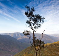 Salisbury Waters walking track - New Castle Holiday