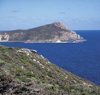 Bald Head Walking Track - New Castle Holiday