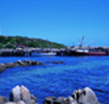 King Island Dairies - New Castle Holiday