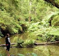 Morwell National Park - New Castle Holiday