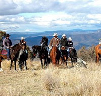 Snowy Wilderness - New Castle Holiday