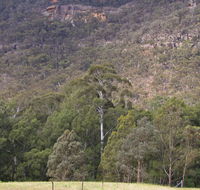 Bangadilly National Park - New Castle Holiday
