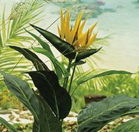 Aitkens Australia in the Round - New Castle Holiday