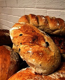 Bakehouse On Park - New Castle Holiday 3