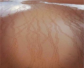 Bargara Beach - New Castle Holiday 1