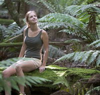 Barrington Tops National Park - Honeysuckle Forest Track - New Castle Holiday