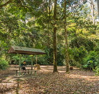 Tooloom National Park - New Castle Holiday