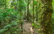 Tooloom National Park - thumb 2