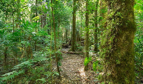 Tooloom National Park - New Castle Holiday 2