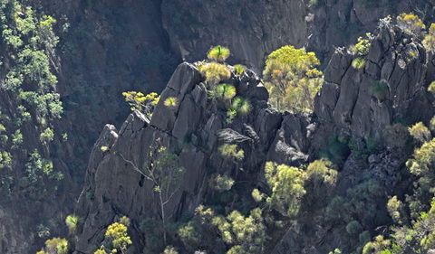 Bungonia National Park - New Castle Holiday 2