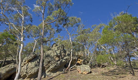 Bungonia National Park - New Castle Holiday 3