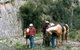 Yarramba Horse Riding - thumb 0
