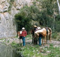 Yarramba Horse Riding - New Castle Holiday