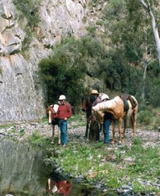 Yarramba Horse Riding - New Castle Holiday 0