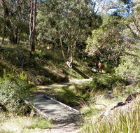 Wollomombi walking track - New Castle Holiday