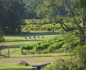 Wollombi Wines - New Castle Holiday 8