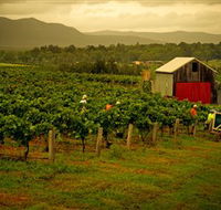 Around Hermitage Wine and Food Trail Hunter Valley - New Castle Holiday