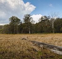 Mummel Gulf National Park - New Castle Holiday