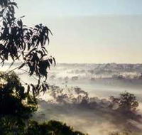 Bents Basin State Conservation Area - New Castle Holiday