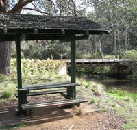 Barrington Tops State Forest - New Castle Holiday