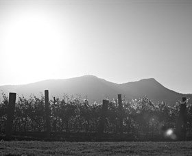 Scarborough Wine Co. - New Castle Holiday 1