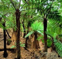 Pegarah Private Nature Reserve  Parenna Place - New Castle Holiday