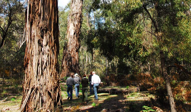 Araluen NSW New Castle Holiday