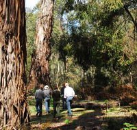 Tallaganda National Park - New Castle Holiday