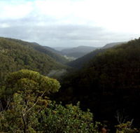 Nattai Gorge Lookout - New Castle Holiday