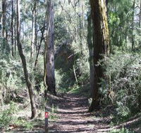 Box Vale Mine Walking Track and Lookout - New Castle Holiday