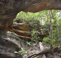 Cave Creek Walking Track - New Castle Holiday