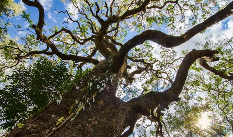 Woko National Park - New Castle Holiday 1