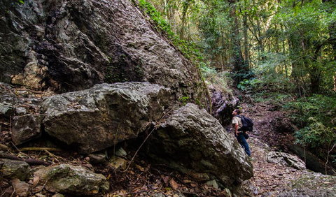 Woko National Park - New Castle Holiday 2