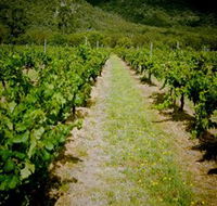 Gartelmann Wines - New Castle Holiday