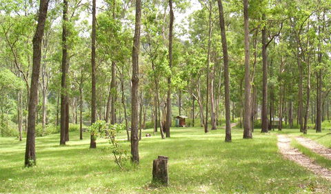 Nymboida National Park - New Castle Holiday 2