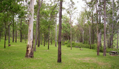 Nymboida National Park - New Castle Holiday 3