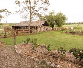 Camden Town Farm - New Castle Holiday 0