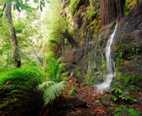 Fairy Bower Falls - New Castle Holiday 0