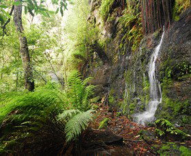 Fairy Bower Falls - New Castle Holiday 2