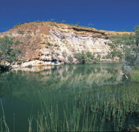 Ellendale Pool - New Castle Holiday