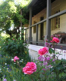 Raglan Gallery And Cultural Centre - New Castle Holiday 2