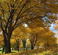 Centennial Park at Cooma - New Castle Holiday
