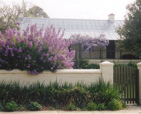 Lambie Town Walk - New Castle Holiday 4