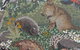 Mosaic Time Walk - thumb 2