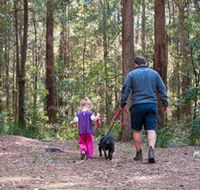 Olney State Forest - Watagan Mountains - New Castle Holiday