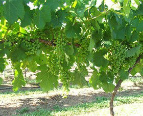 Razorback Ridge Wines - New Castle Holiday 2